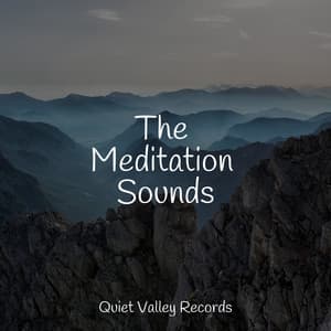 The Meditation Sounds - Nature Chillout