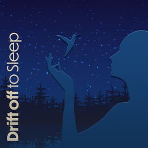 Drift off to Sleep: The Soundscapes of Birds Chirping - Soundscapes!