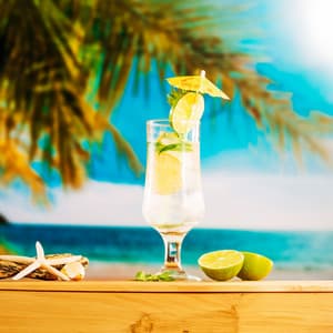 House After Dark: Ibiza 2024 Hot Summer Nights, Beach Bar Beats, Deep Café Relaxation - Dj Dub FX