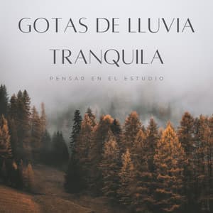 Gotas De Lluvia Tranquila: Pensar En El Estudio - Estudio de sonidos de lluvia
