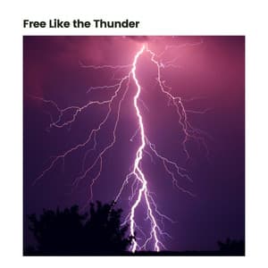 Free Like the Thunder - Stormy Station