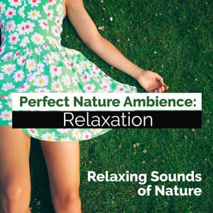 Perfect Nature Ambience: Relaxation - Relaxing Sounds Of Nature