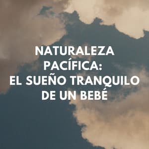 Naturaleza Pacífica: El Sueño Tranquilo De Un Bebé - Música de la Naturaleza