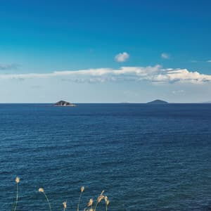 Cerulean Rhythms: Deep Blue Ocean Melodies - Heals My Heart