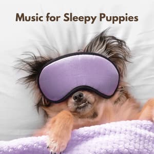Music for Sleepy Puppies - Piano Jazz Bar