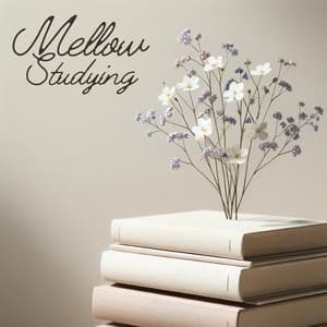 Mellow Studying: Calm Mind and Brain Relaxation - Study Music Guys