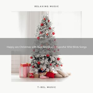 Happy are Christmas with Best Songs and Peaceful Wild Birds Songs - Wonderful Escape