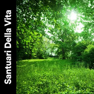 Santuari Della Vita - Suoni Naturali