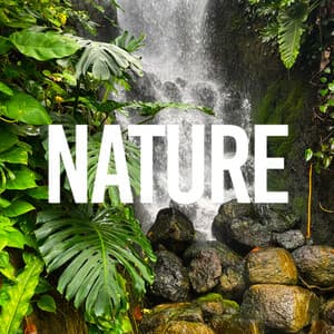 Nature - Sounds Of Nature