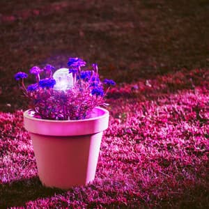 Lonely Jazz Piano Duo - Background for Sweater Weather - Piano Lounge Smooth Jazz