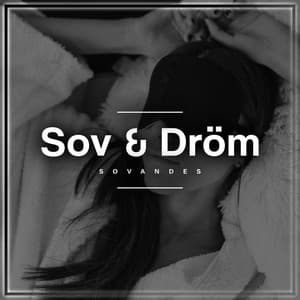 Sov & Dröm - Sovandes