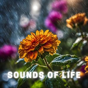 Sounds of Life - Alpha Vectoriam