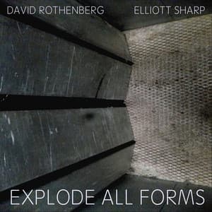 Explode All Forms - David Rothenberg