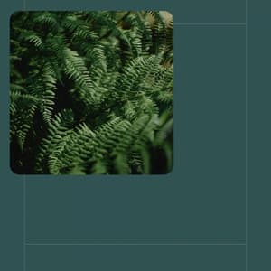 Self Care Days - Fantastic - Downtempo Jazz Beats