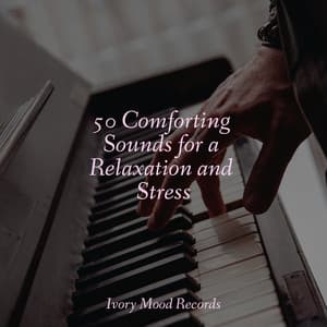 50 Comforting Sounds for a Relaxation and Stress - Ivory Mood