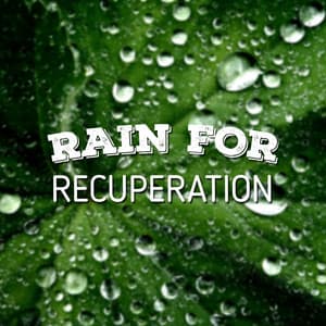 Rain for Recuperation - Natural Rain Sounds