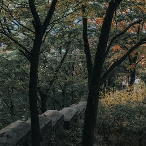 Best Sounds of Nature | Collection | Sleep - The Sleep Specialist