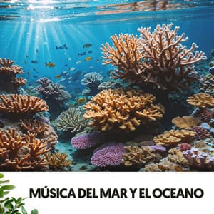 Sonidos del Oceano y el Mar: Melodías que acarician tu alma - Cat Music