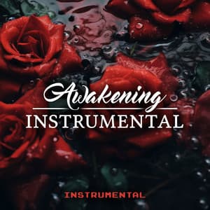Awakening Instrumental - Instrumental