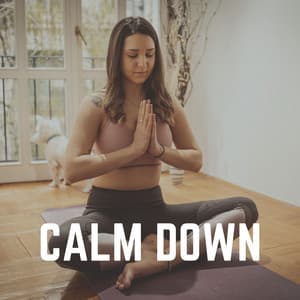 Calm Down - Some Relaxing Music