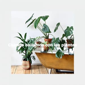Cuando bailamos con las plantas - Jazz and Chill