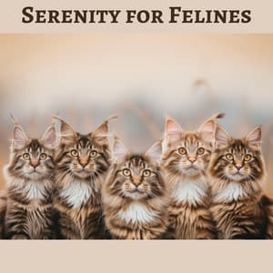 Serenity for Felines: Sleep Music for Anxious Cats, Nervous Kitties, Soothing Cat Therapy - Pet Care Club