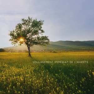 Soulagement immédiat de l'anxiété: Musique de la nature pour un sommeil profond, Temps calme la nuit - Nature Académie