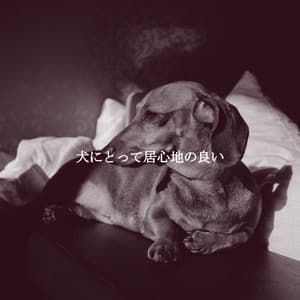 犬にとって居心地の良い - Refreshing Tracks