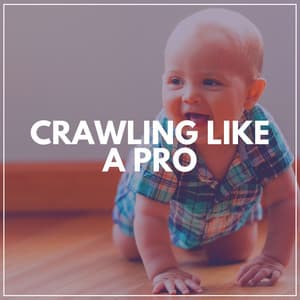 Crawling Like a Pro - Baby Music Center