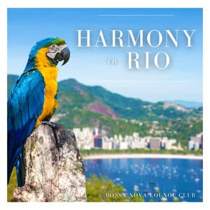 Harmony in Rio: Bossa Nova Guitar Jazz - Bossa Nova Lounge Club