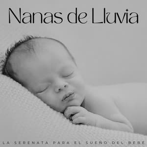 Nanas De Lluvia: La Serenata Para El Sueño Del Bebé - Cafetería Lofi