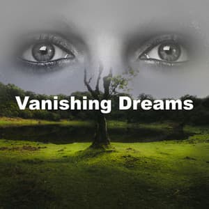 Vanishing Dreams - Vacuum Cleaner White Noise