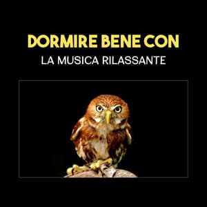 Dormire bene con la musica rilassante - Academia del Sonno Profondo