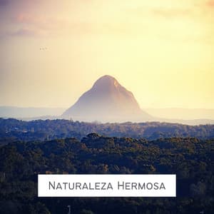 Naturaleza Hermosa: Sonidos Naturales 100% Reales, Alivio de la Migraña, Estrés y Ansiedad - Salinas Fernandez