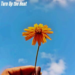 Turn Up the Heat - Música para Oficinas Musica De Fondo