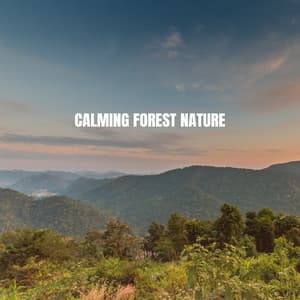 Calming Forest Nature - Ocean Waves For Sleep