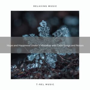 Hope and Happiness Under a Mistletoe with Calm Songs and Noises - Sounds of Christmas