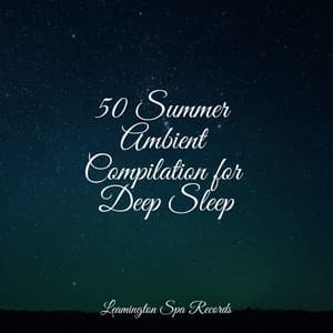 50 Summer Ambient Compilation for Deep Sleep - The Rain Library