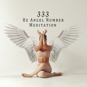 333 Hz Angel Number Inner Silence - Asha Age