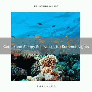 2021 New: Gentle and Sleepy Sea Noises for Summer Nights - Naturaleza FX