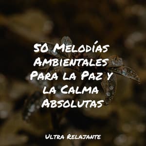 50 Melodías Ambientales Para la Paz y la Calma Absolutas - Zona Música Relaxante