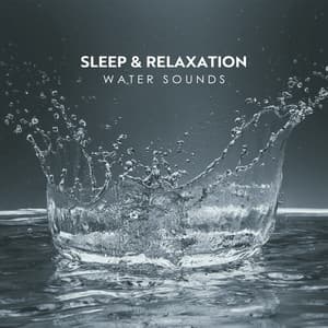 Sleep & Relaxation: Water Sounds - Calming Water Consort