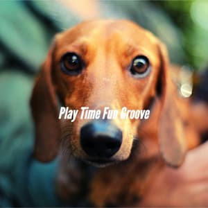Play Time Fun Groove - Sleepy Dogs
