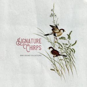Signature Chirps - Bird Sound Collectors