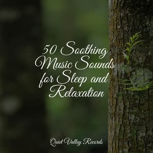 50 Soothing Music Sounds for Sleep and Relaxation - Baby Sleep Music