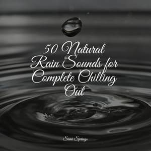 50 Natural Rain Sounds for Complete Chilling Out - Master Meditação