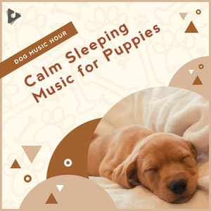 Calm Sleeping Music for Puppies - Dog Music Hour