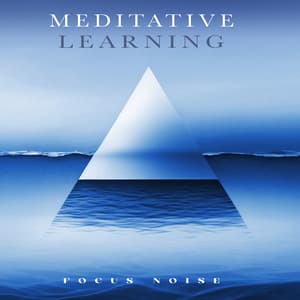 Meditative Learning - Focus Noise