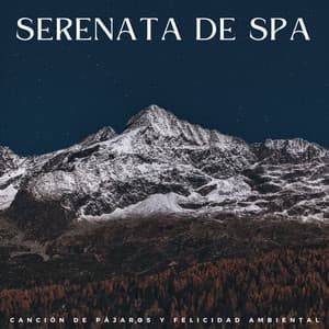 Serenata De Spa: Canción De Pájaros Y Felicidad Ambiental - Sonidos Naturales del Pajaro