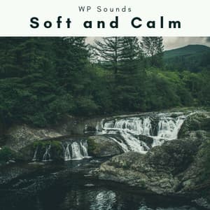 A Soft and Calm - WP Sounds